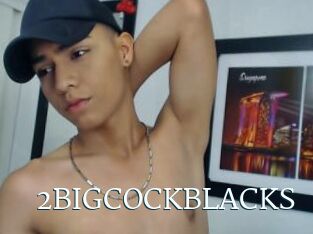 2BIGCOCKBLACKS