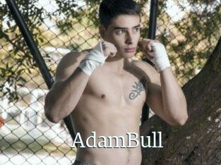 AdamBull