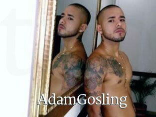 AdamGosling