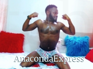 AnacondaExpress