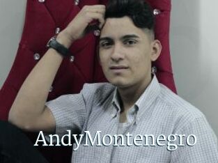 AndyMontenegro