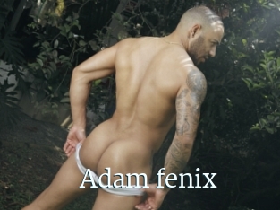 Adam_fenix