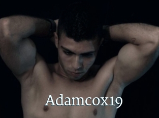 Adamcox19