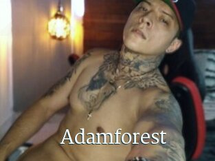 Adamforest