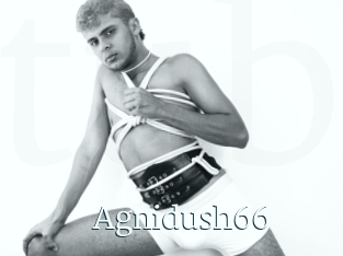 Agnidush66