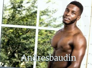 Andresbaudin