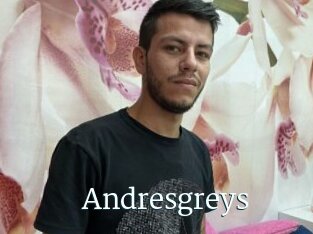 Andresgreys