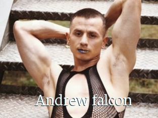 Andrew_falcon