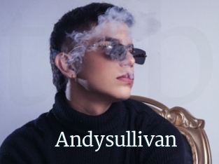 Andysullivan
