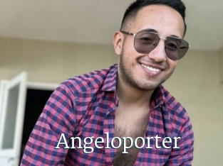 Angeloporter