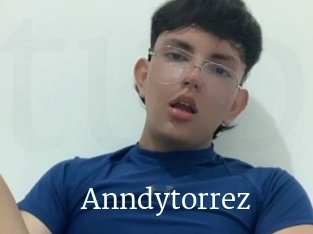 Anndytorrez