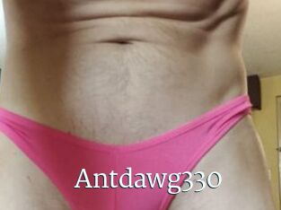 Antdawg330