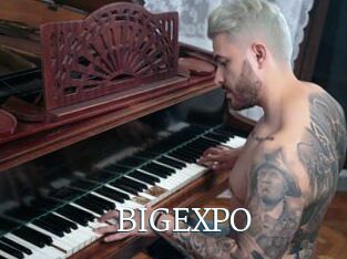 BIGEXPO