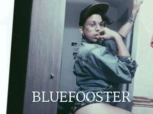 BLUEFOOSTER