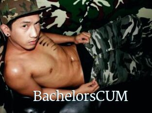 BachelorsCUM