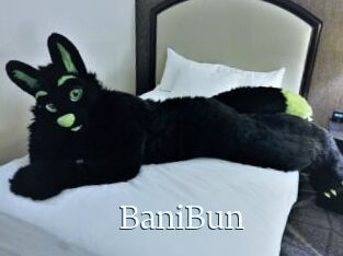 BaniBun