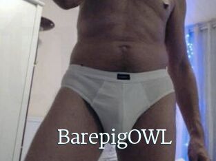 BarepigOWL