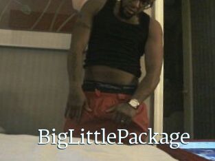 BigLittlePackage