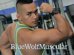 BlueWolfMuscular