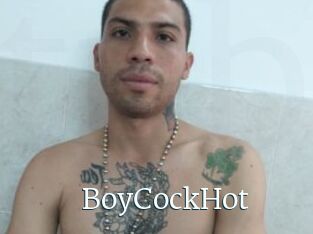 BoyCockHot
