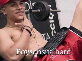 Boysensualhard