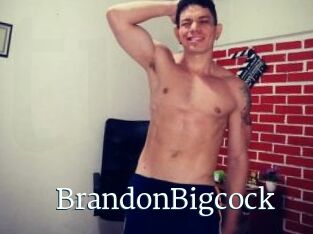 BrandonBigcock