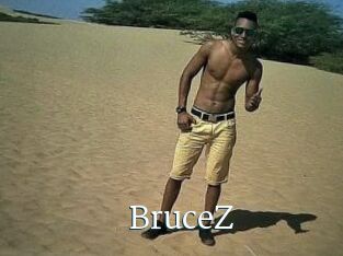 BruceZ