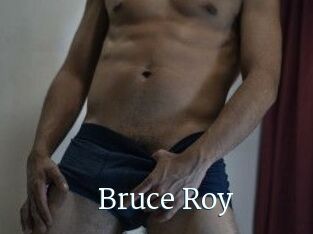 Bruce_Roy