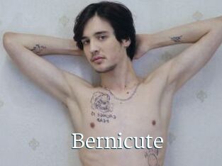 Bernicute