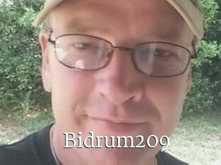 Bidrum209