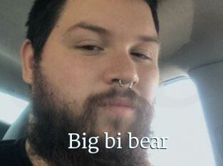 Big_bi_bear