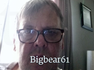 Bigbear61