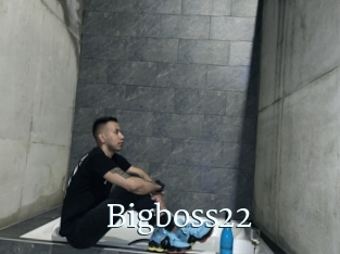 Bigboss22