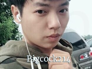 Bigcock214