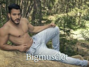 Bigmusclet