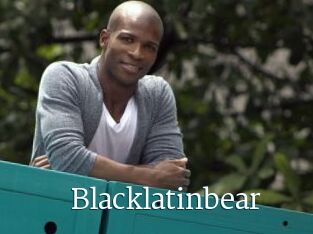Blacklatinbear