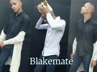 Blakemate