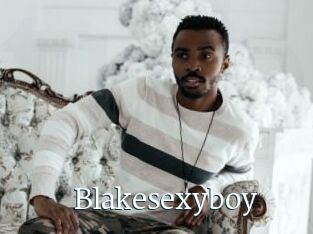 Blakesexyboy