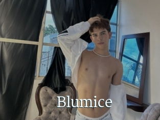 Blumice