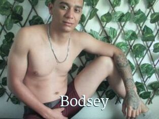 Bodsey