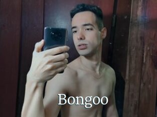Bongoo