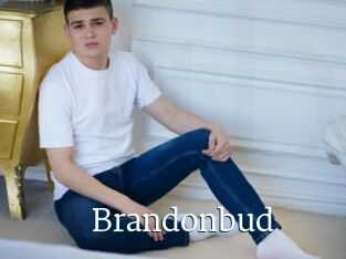 Brandonbud