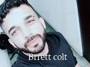 Brrett_colt