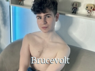 Brucevolt