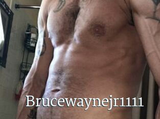 Brucewaynejr1111