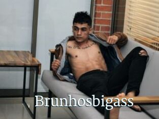 Brunhosbigass