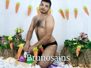 brunosains Tube gay gratuit