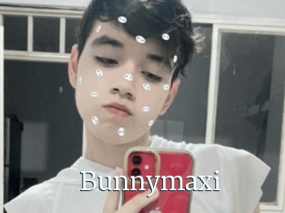 Bunnymaxi