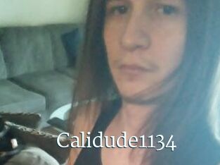 Calidude1134