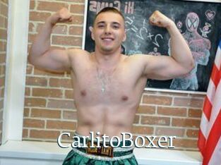 CarlitoBoxer